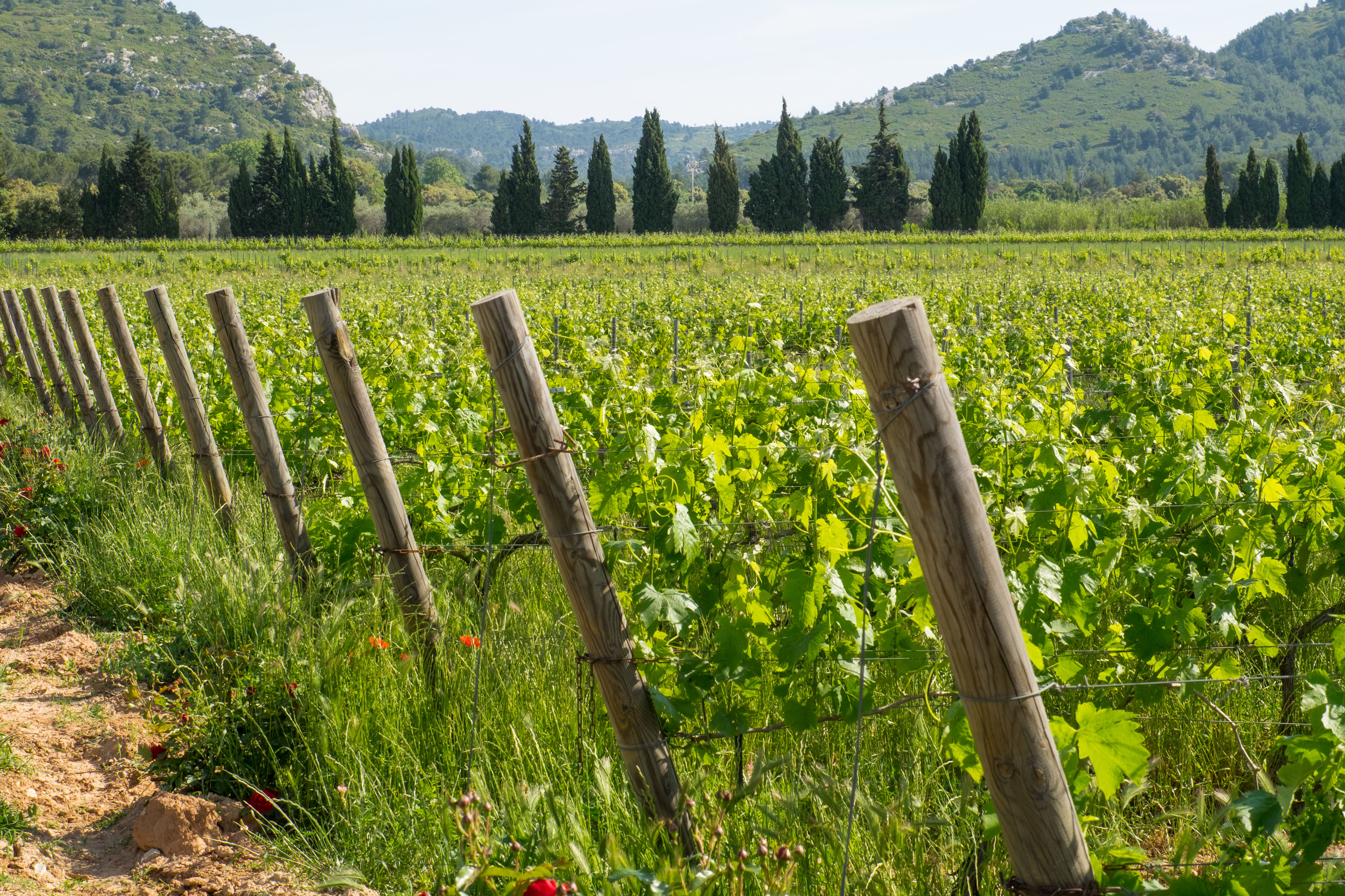 Provence | Luberon